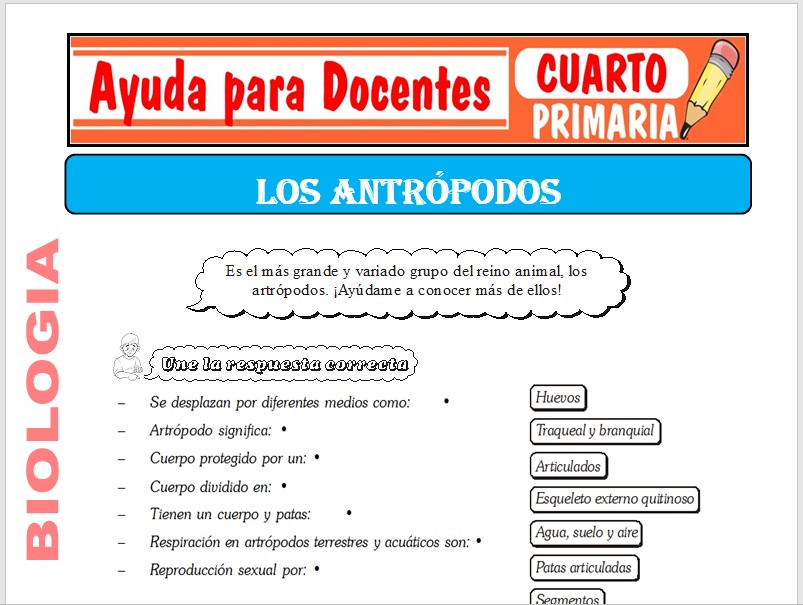 Modelo de la Ficha de Los Artrópodos para Cuarto de Primaria