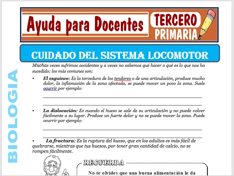 Modelo de la Ficha de Cuidado del Sistema Locomotor para Tercero de Primaria