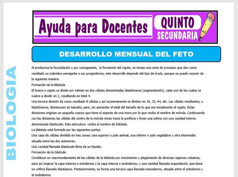 Modelo de la Ficha de Desarrollo Mensual del Feto para Quinto de Secundaria