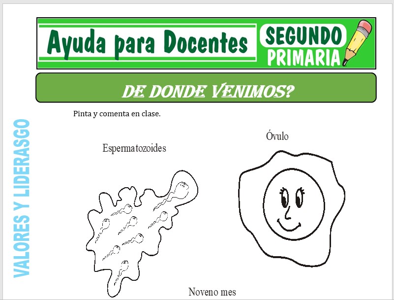 Modelo de la Ficha de Dónde Venimos para Segundo de Primaria