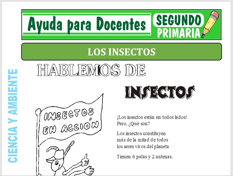 Modelo de la Ficha de Los Insectos para Segundo de Primaria