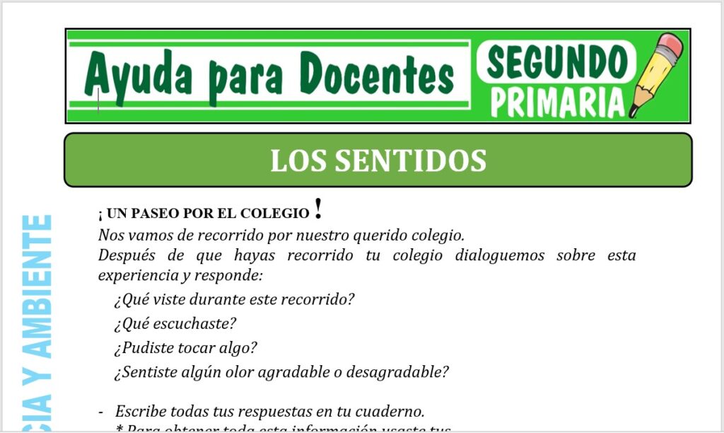 Modelo de la Ficha de Fichas de los Sentidos para Segundo de Primaria