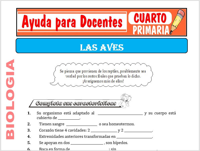 Modelo de la Ficha de Las Aves para Cuarto de Primaria