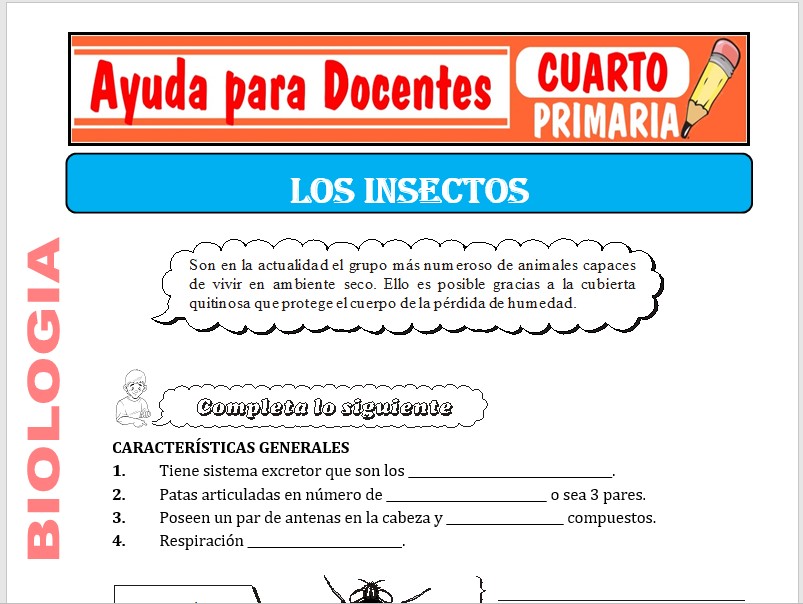 Modelo de la Ficha de Los Insectos para Cuarto de Primaria