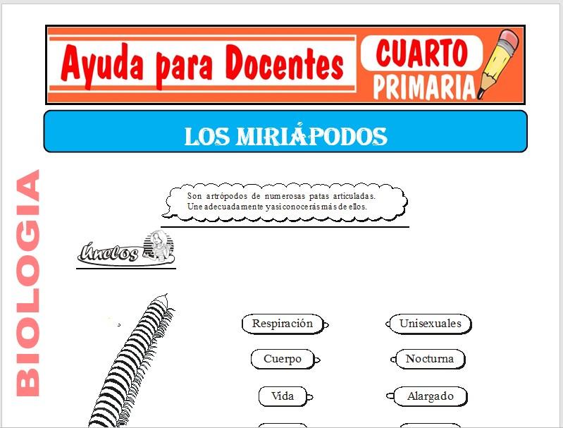 Modelo de la Ficha de Los Miriápodos para Cuarto de Primaria