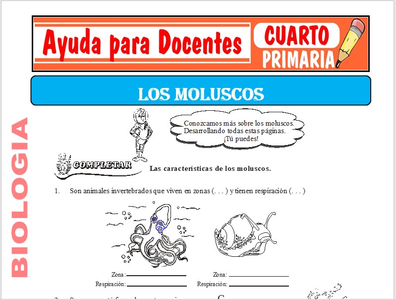 Modelo de la Ficha de Los Moluscos para Cuarto de Primaria