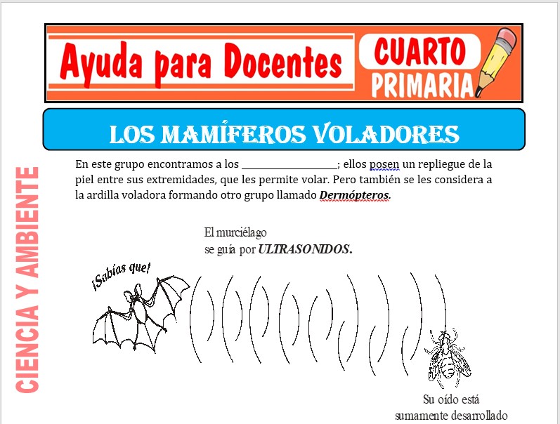 Modelo de la Ficha de Mamíferos Voladores para Cuarto de Primaria