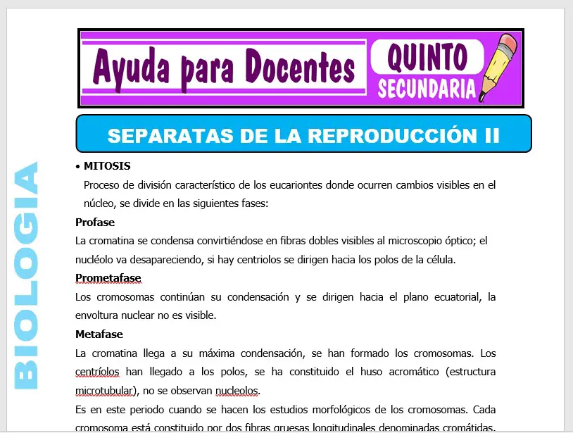 Modelo de la Ficha de Separatas de la Reproducción II para Quinto de Secundaria