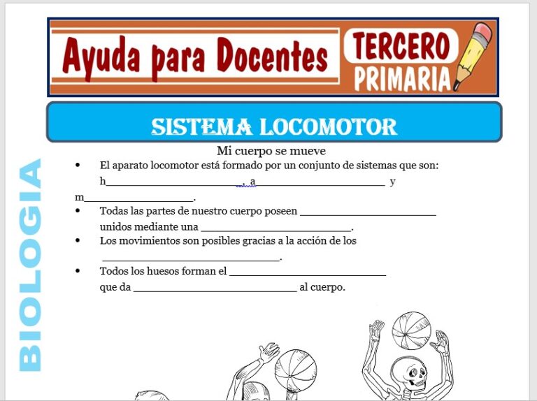 Sistema Locomotor para Tercero de Primaria – Ayuda para Docentes